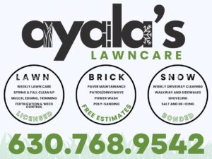 Ayala Lawn Care